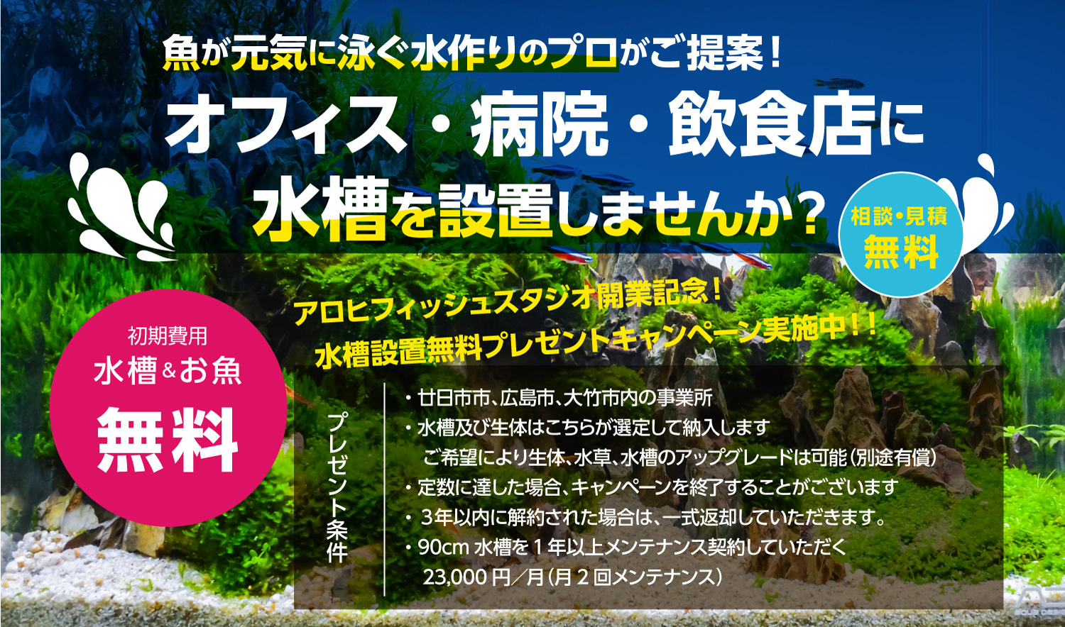 アロヒフィッシュスタジオの水槽無料設置サービス