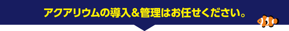 水槽メンテナンスはお任せください